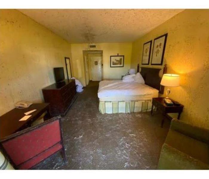 Hotel room with mold on the floor, walls, ceiling, and contents