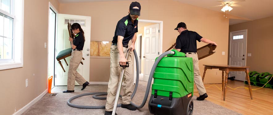 Homosassa Springs, FL cleaning services
